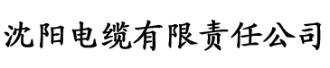 香蕉久久久久久AV成人电缆厂logo